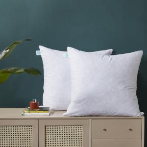 MARTHA STEWART Square Couch and Bed Decorative Pillows 2 Pack Throw Insert for Covers-Euro Size, 26” x26”(20″X20″(Pack of 2))