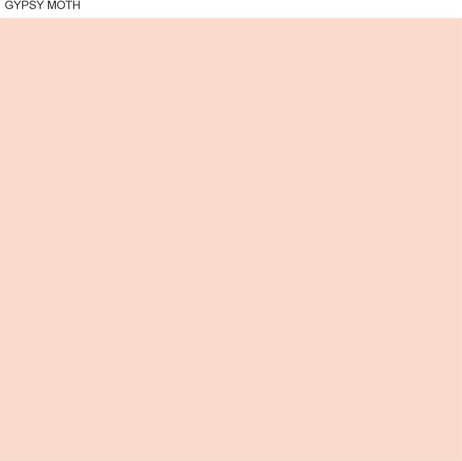 imageMartha by Martha Stewart Interior Paint Eurolux Universal Primer 10L Gypsy Moth Pink