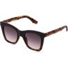 Black and Tortoise