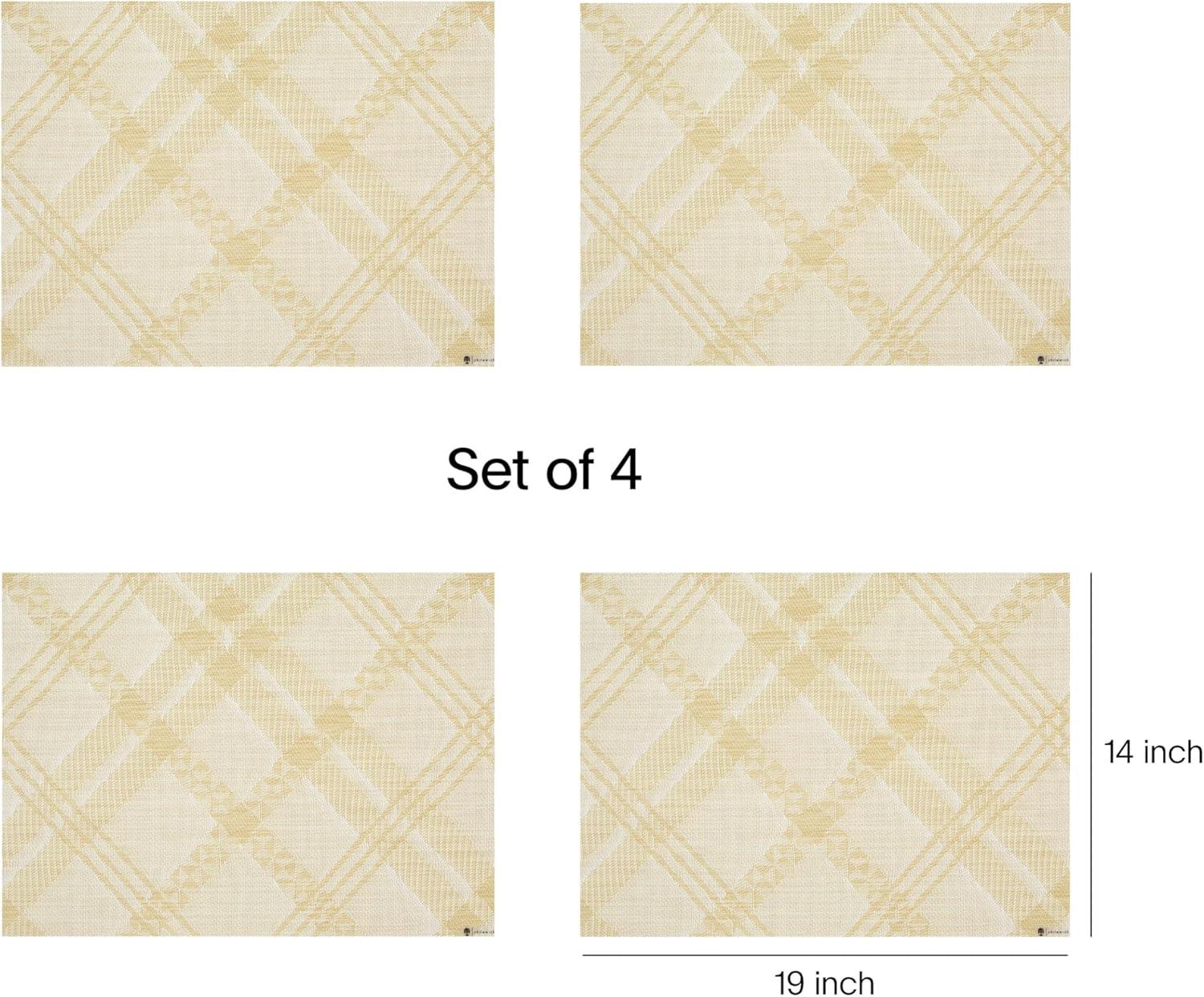 imageMartha by Martha Stewart Chilewich Ribbons Placemats in Burnt Coral Set of 4 Easy Care Woven Tabletop Textiles IndoorOutdoor 19 x 14 RectangleWheat