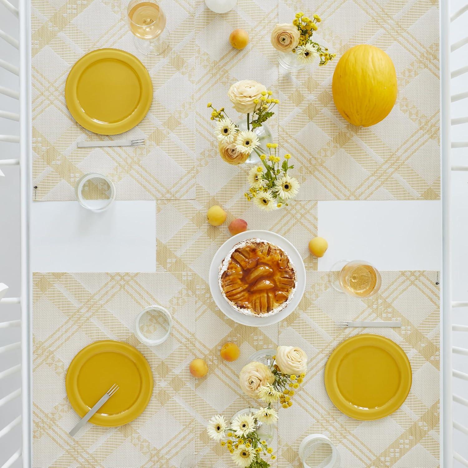 imageMartha by Martha Stewart Chilewich Ribbons Placemats in Burnt Coral Set of 4 Easy Care Woven Tabletop Textiles IndoorOutdoor 19 x 14 RectangleWheat