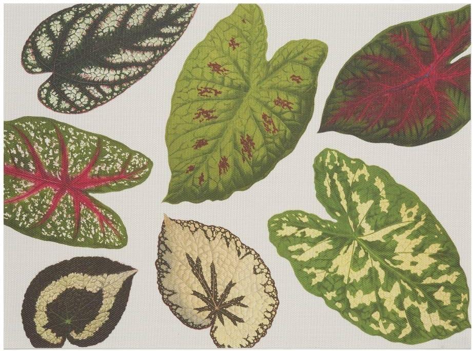 imageMartha by Martha Stewart Chilewich Scattered Leaf Placemat Set of 4 Easy Care Woven Tabletop Textile IndoorOutdoor 185 x 135 Rectangle