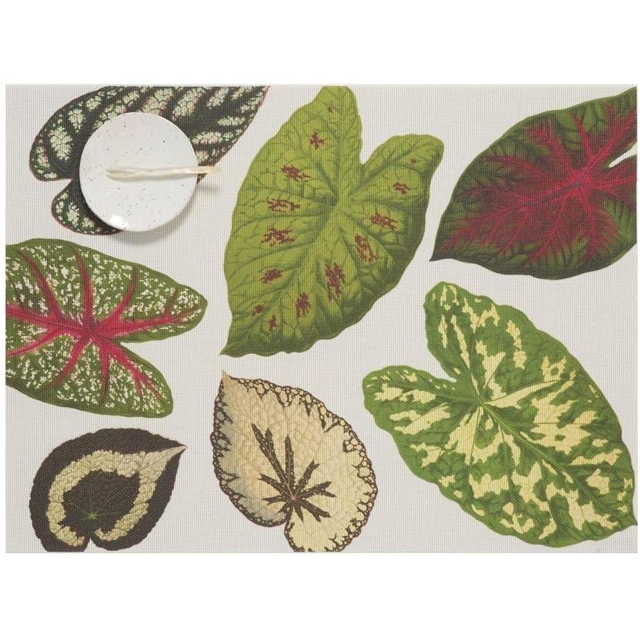imageMartha by Martha Stewart Chilewich Scattered Leaf Placemat Set of 4 Easy Care Woven Tabletop Textile IndoorOutdoor 185 x 135 Rectangle