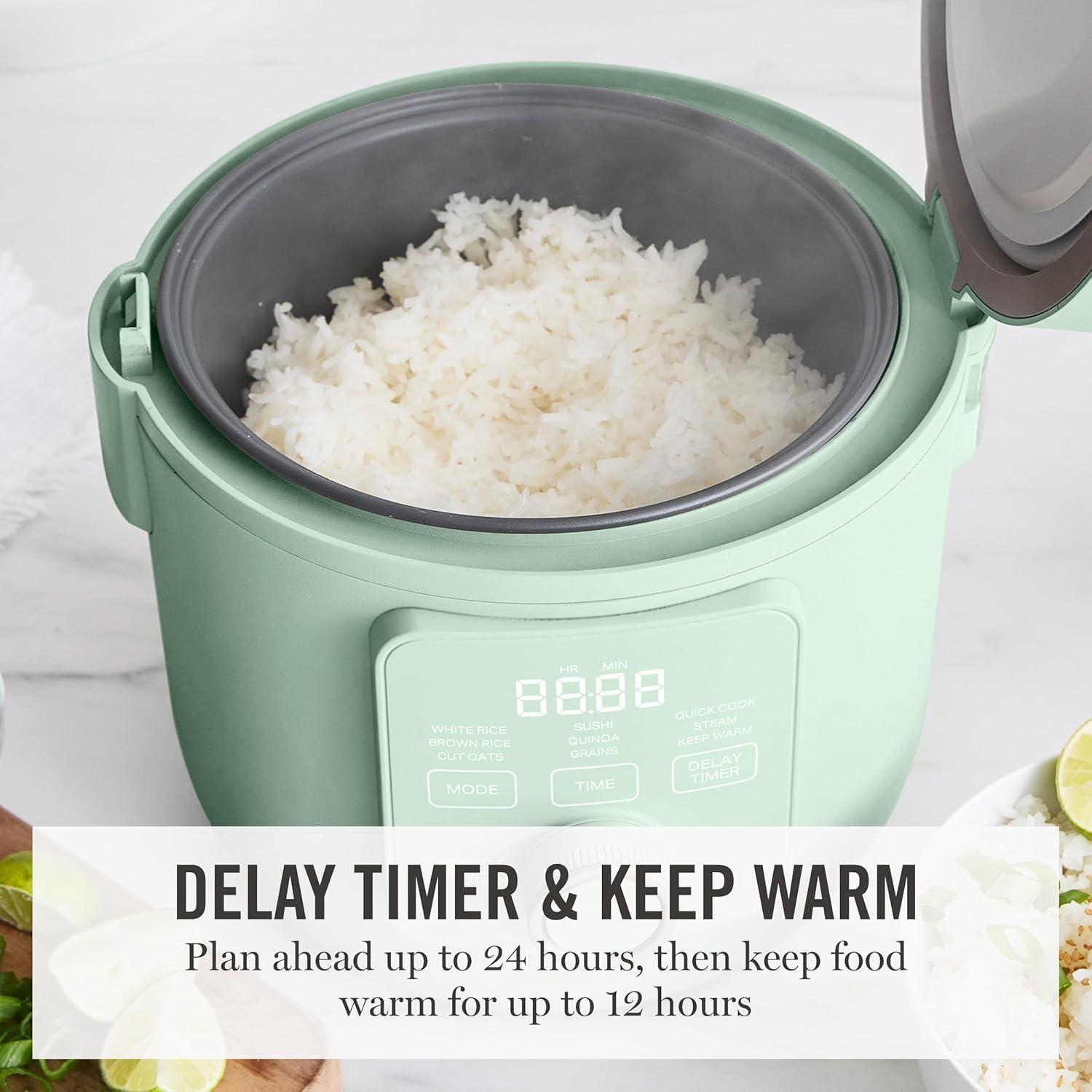 imageMartha Stewart Rice Cooker 4 Cup Uncooked 8 Cup Cooked Ceramic NonStick Removable Pot Keep Warm Measure Markings Steam Basket Brown amp Sushi Rice Quick Cook Quinoa Grains Oats Linen WhiteHoneydew Green
