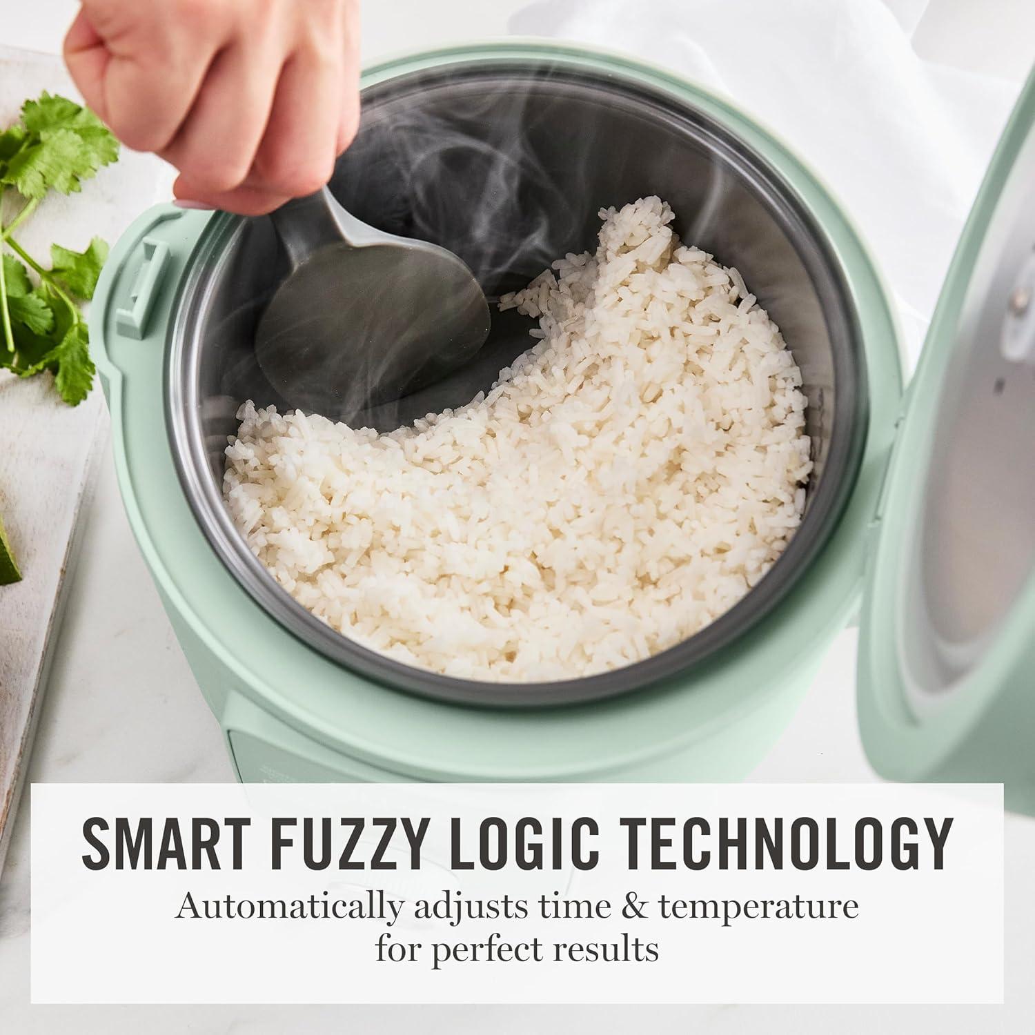 imageMartha Stewart Rice Cooker 4 Cup Uncooked 8 Cup Cooked Ceramic NonStick Removable Pot Keep Warm Measure Markings Steam Basket Brown amp Sushi Rice Quick Cook Quinoa Grains Oats Linen WhiteHoneydew Green