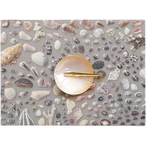 Chilewich Seashell Placemats Set of 4 – Woven Dining Table Mats – Reusable, Stain-Resistant, Indoor/Outdoor Tabletop Protection – 14″ x 19″