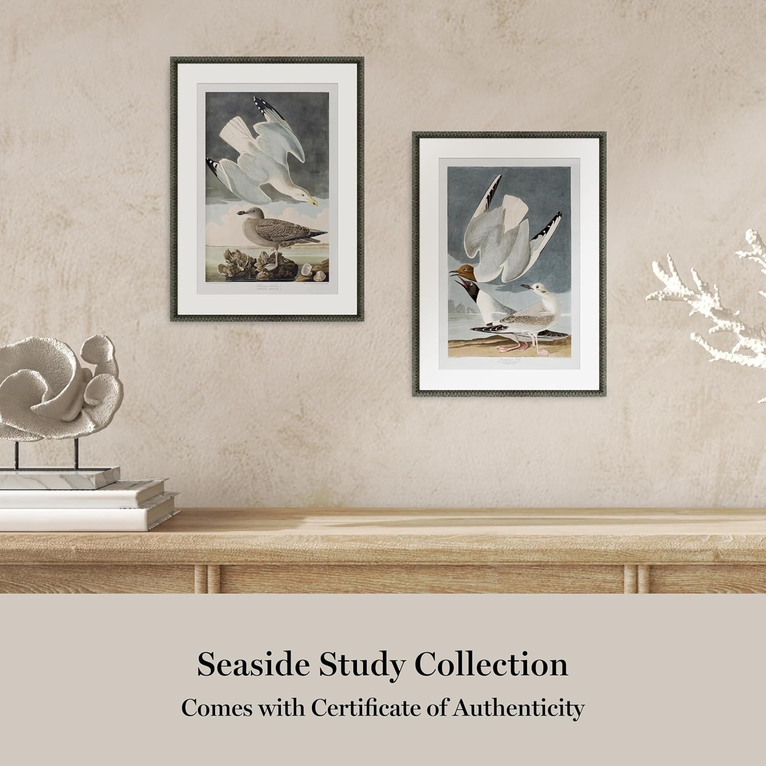 image:imageMartha Stewart Lily Pond Paper Wall Art Seaside Study Shorebirds in Motion 2175 x 2975 Living Room and Bedroom Decor FramedCoastal Bird Study Gulls Pair
