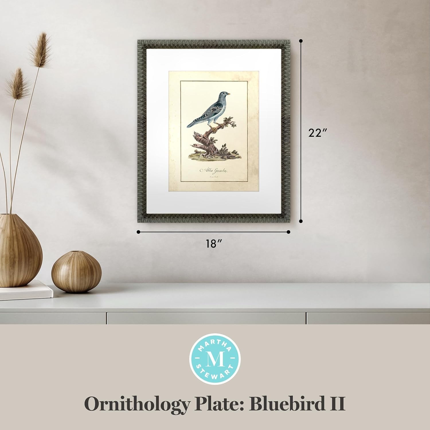 image:imageMartha Stewart Skylands Paper Wall Art Ornithology Plate Bluebird I 1975 x 2375 Living Room and Bedroom Decor FramedOrnithology Plate Bluebird II
