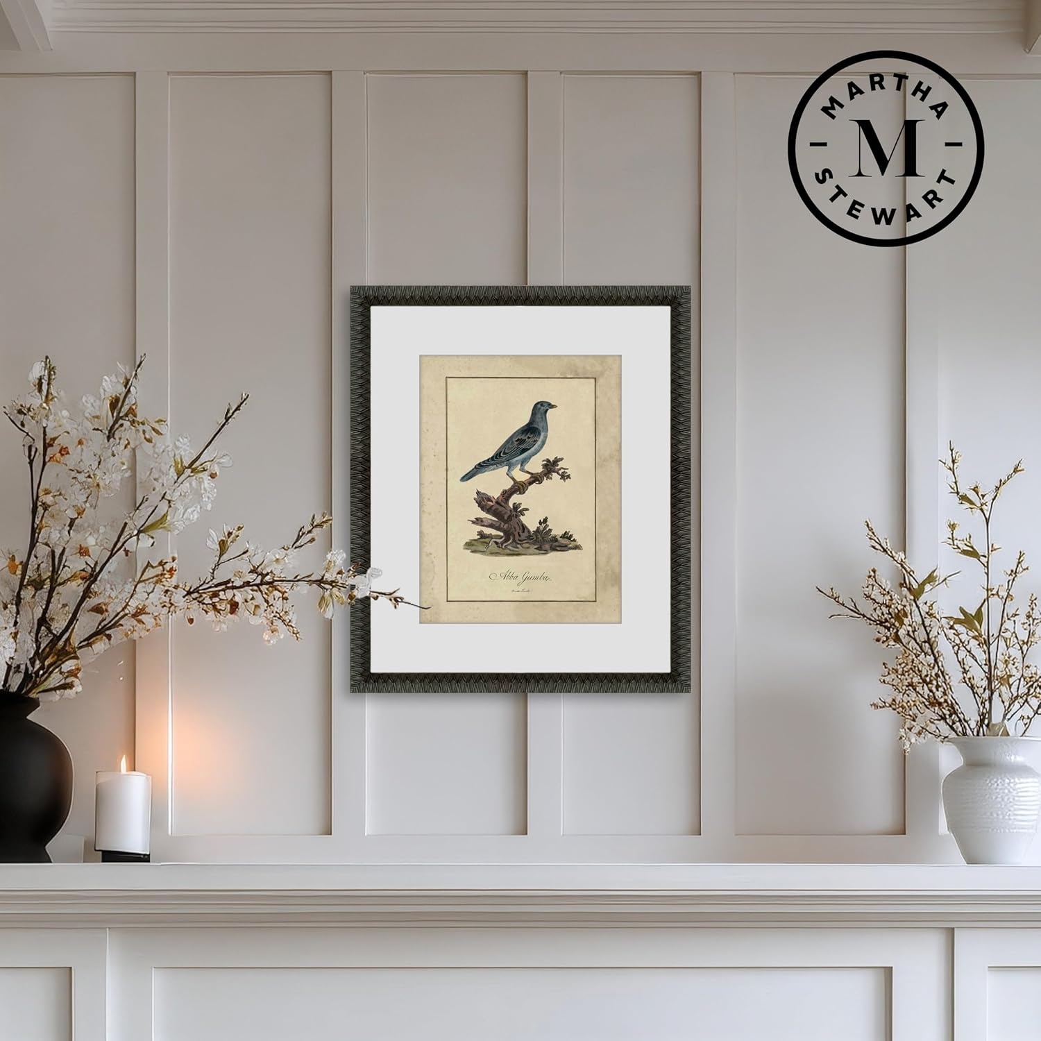 image:imageMartha Stewart Skylands Paper Wall Art Ornithology Plate Bluebird I 1975 x 2375 Living Room and Bedroom Decor FramedOrnithology Plate Bluebird II