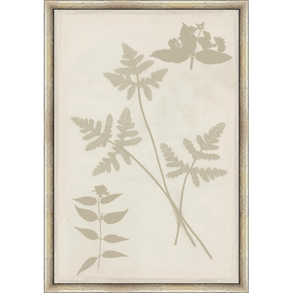 image:imageMartha Stewart Bedford Canvas Wall Art Shadow Botanical Study I 135 x 195 Living Room and Bedroom Decor FramedShadow Botanical Study II