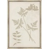 Shadow Botanical Study II