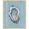 Shell Study Oyster