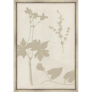 Martha Stewart Bedford Canvas Wall Art, Shadow Botanical Study I, 13.5″ x 19.5″, Living Room and Bedroom Decor, Framed(Shadow Botanical Study I)