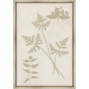 Martha Stewart Bedford Canvas Wall Art, Shadow Botanical Study I, 13.5″ x 19.5″, Living Room and Bedroom Decor, Framed(Shadow Botanical Study II)