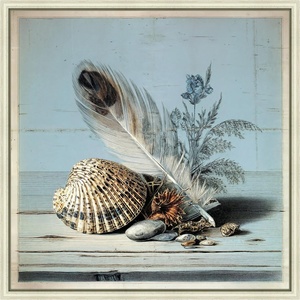 Martha Stewart Lily Pond Canvas Wall Art, Seaside Still Life Shells and Coral, 22.62″ x 22.62″, Living Room and Bedroom Decor, Framed