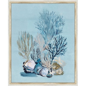 Martha Stewart Lily Pond Canvas Wall Art, Shell Study: Oyster, 26.62″ x 32.62″, Living Room and Bedroom Decor, Framed(Coastal Botanical Coral Study)