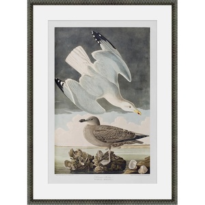 Martha Stewart Lily Pond Paper Wall Art, Seaside Study: Shorebirds in Motion, 21.75″ x 29.75″, Living Room and Bedroom Decor, Framed(Seaside Study Shorebirds in Motion)
