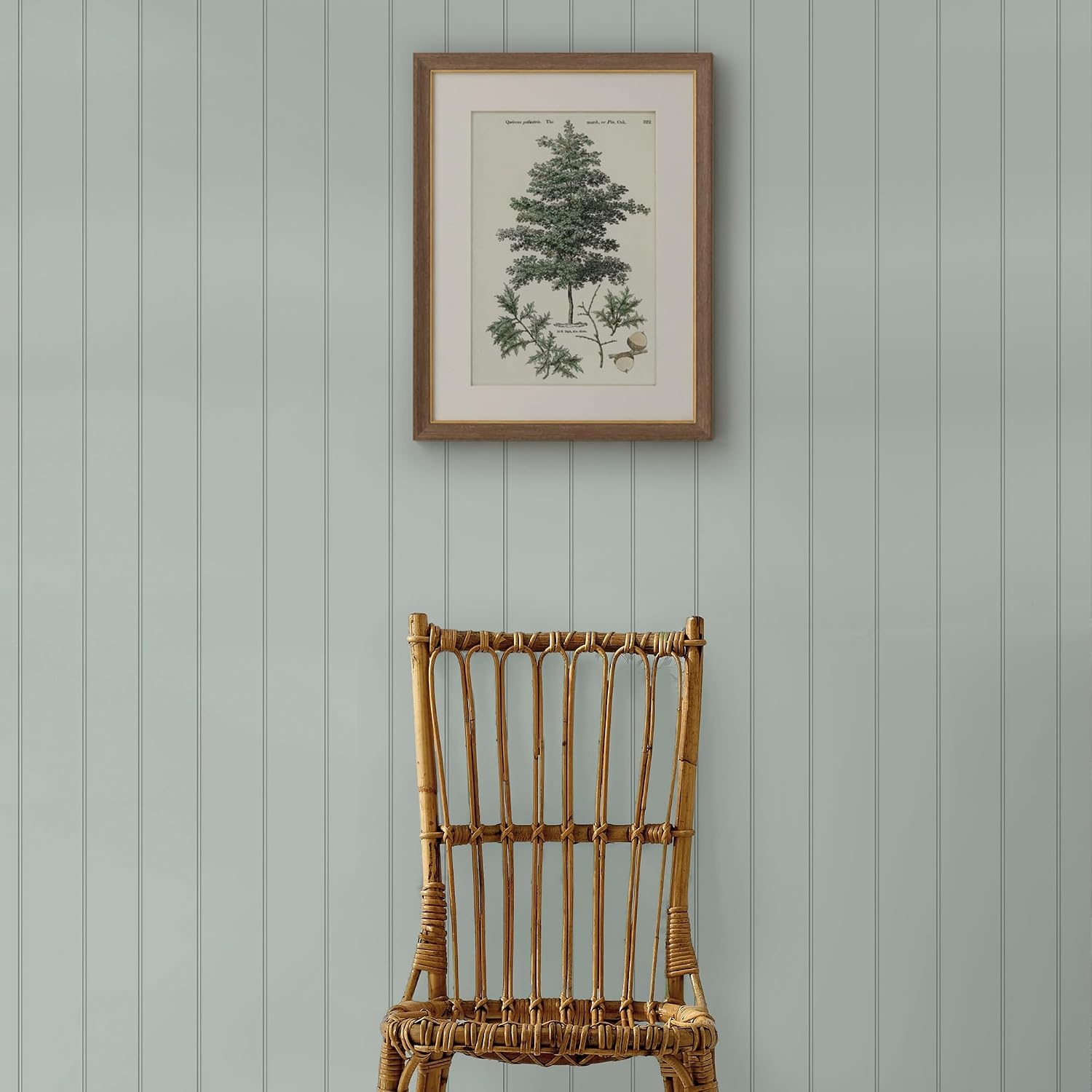 image:imageMartha Stewart Wood Panel Sage Wallpaper Farmhouse Cottage NonPasted Premium Wallpaper for Walls Kitchen Bedrooms Living Rooms