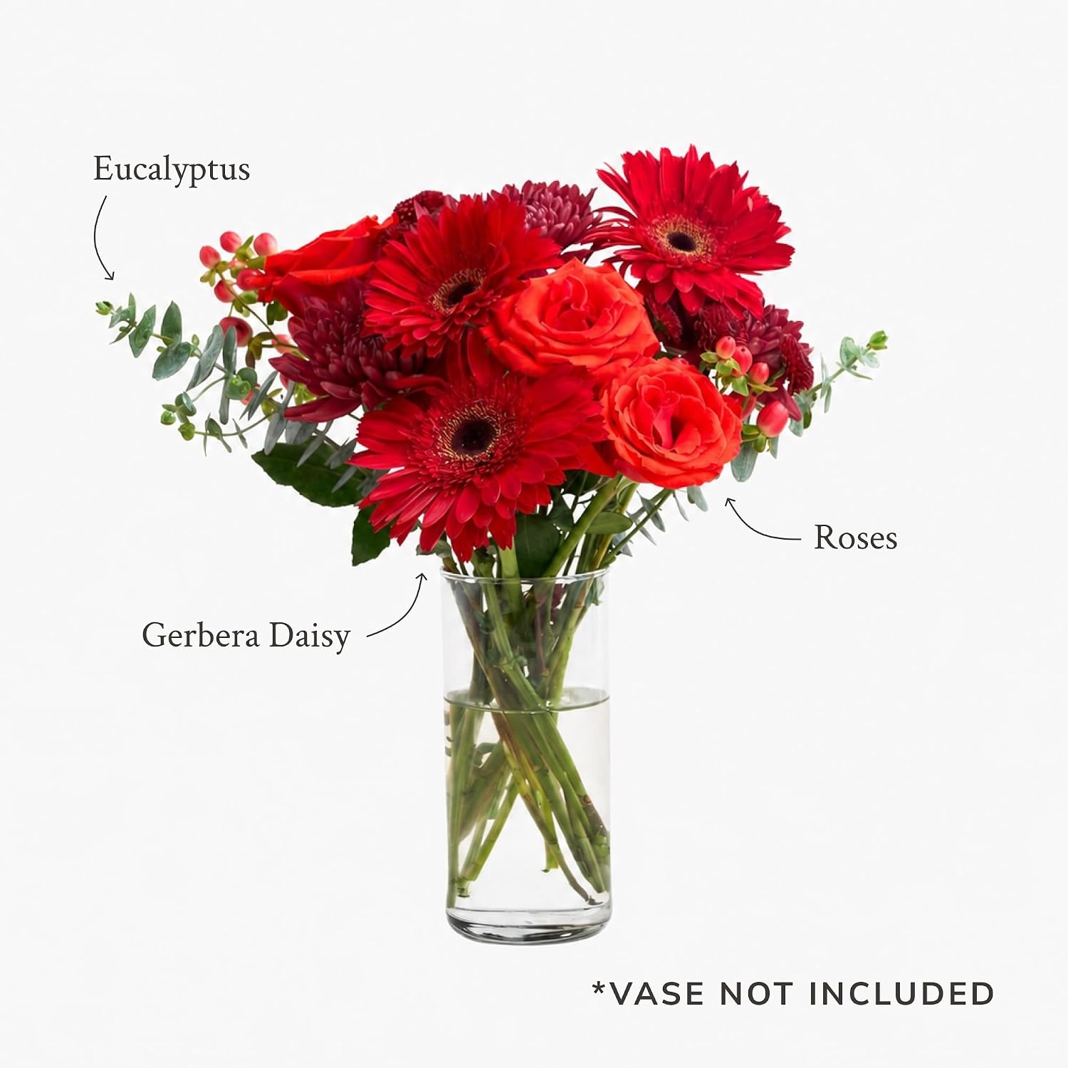 image:imageMartha Stewart x UrbanStems Crimson Red Rose Fresh Flowers Bouquet