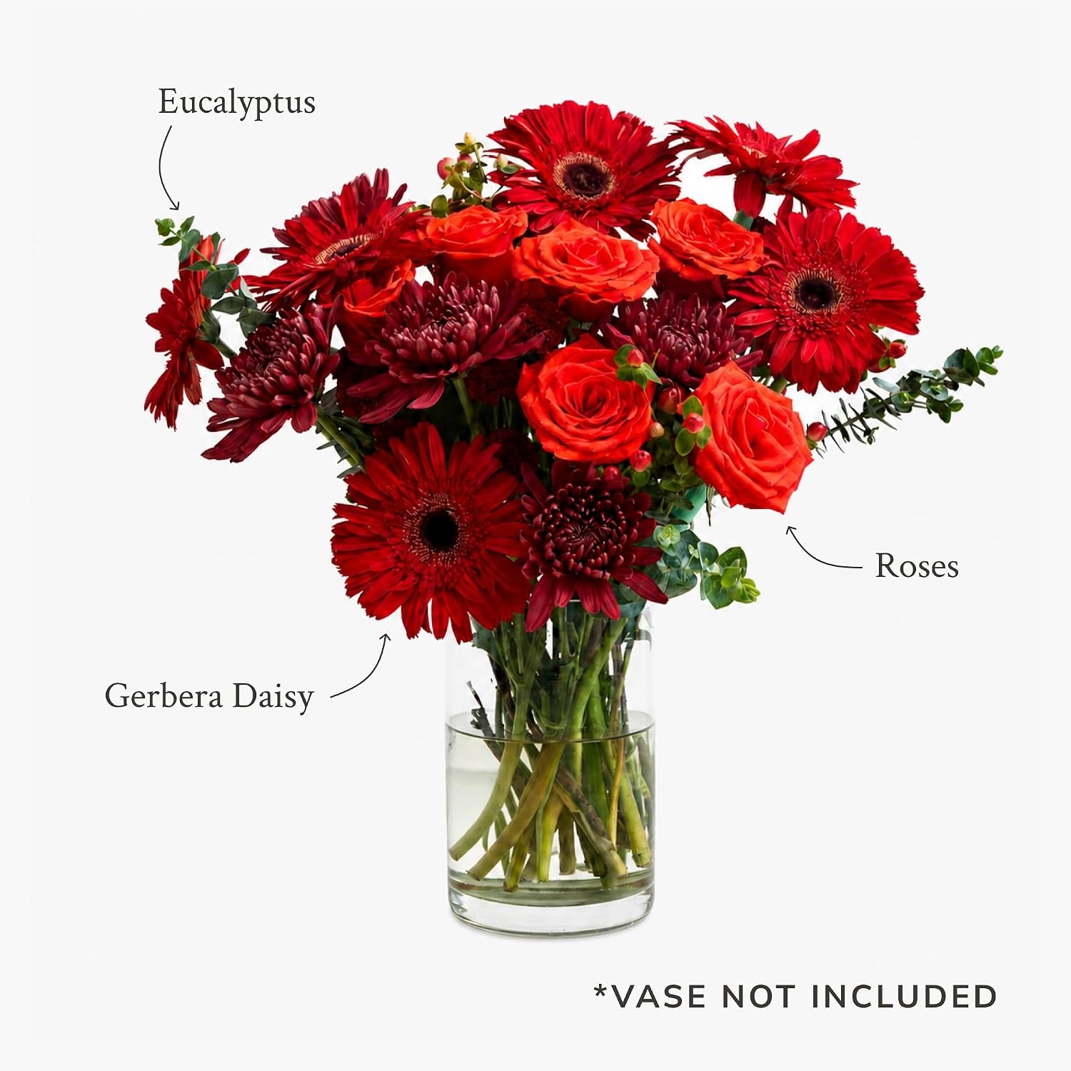image:imageMartha Stewart x UrbanStems Double Crimson Red Rose Fresh Flowers Bouquet