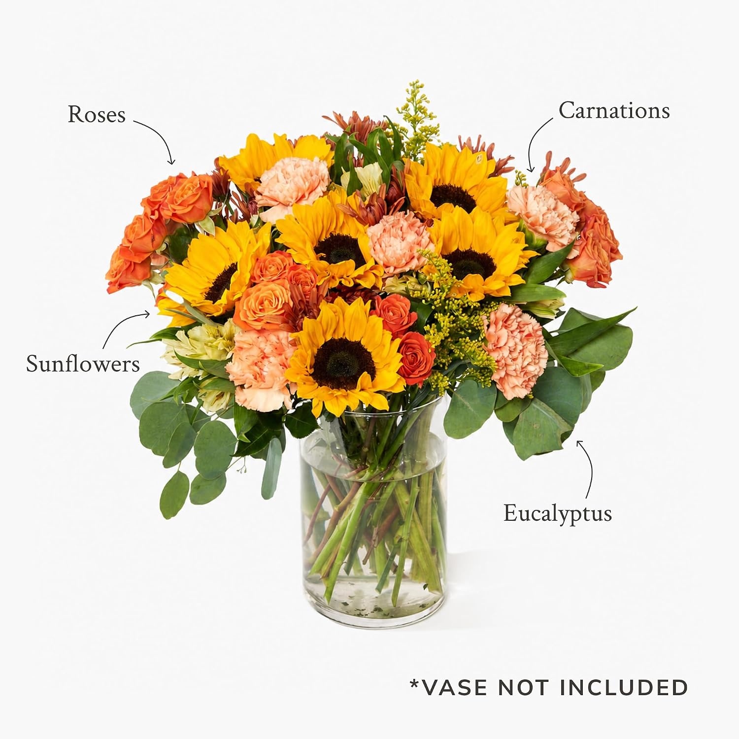image:imageMartha Stewart x UrbanStems Fall Sunflower Yellow Sunflower Fresh Flower Bouquet
