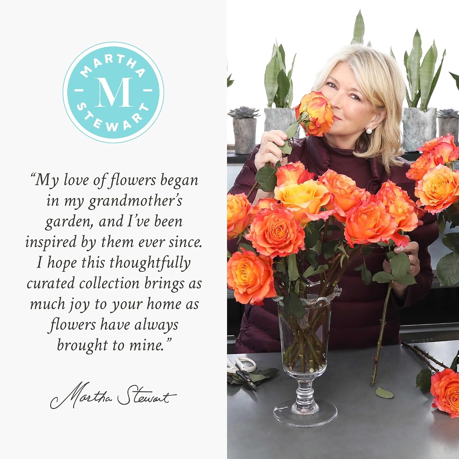 image:imageMartha Stewart x UrbanStems Mulberry Purple Roses Fresh Flowers Bouquet