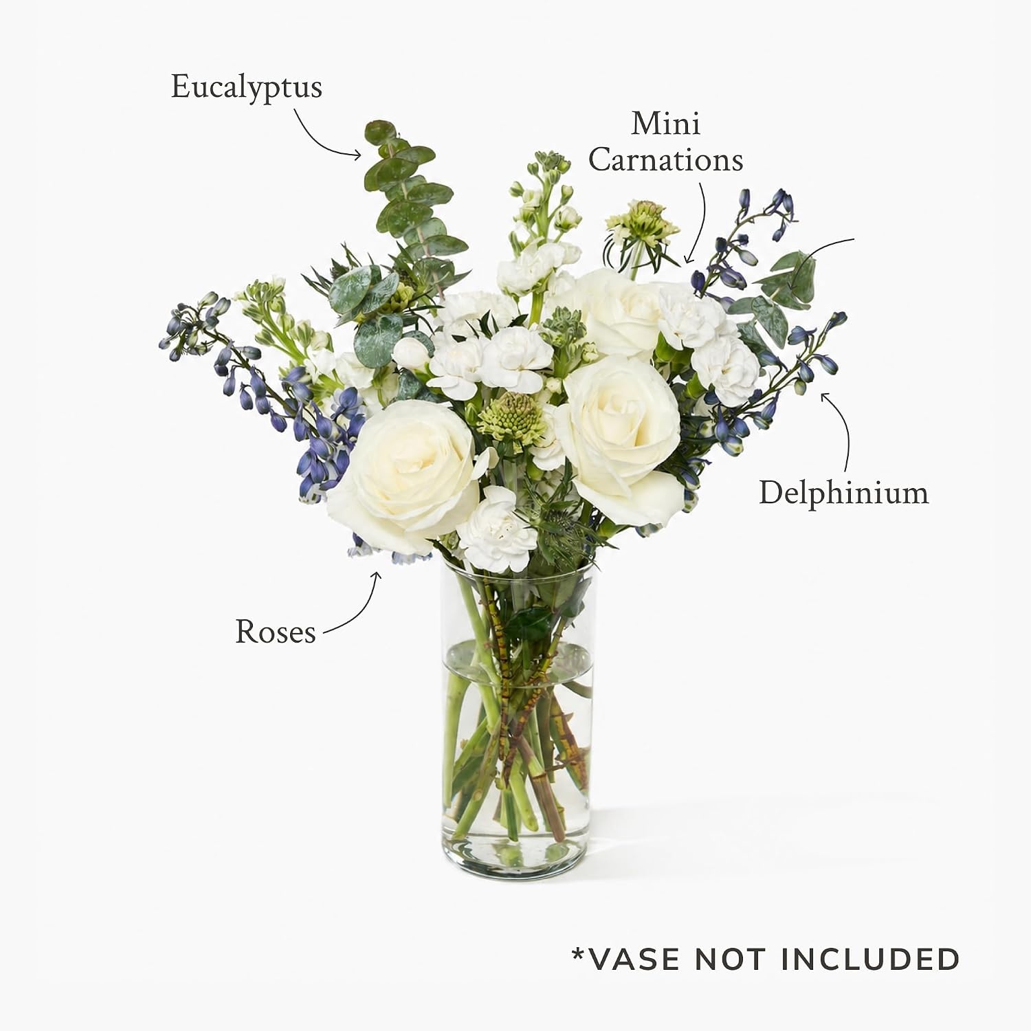 image:imageMartha Stewart x UrbanStems Nimbus Blue amp White Rose Fresh Flowers Bouquet