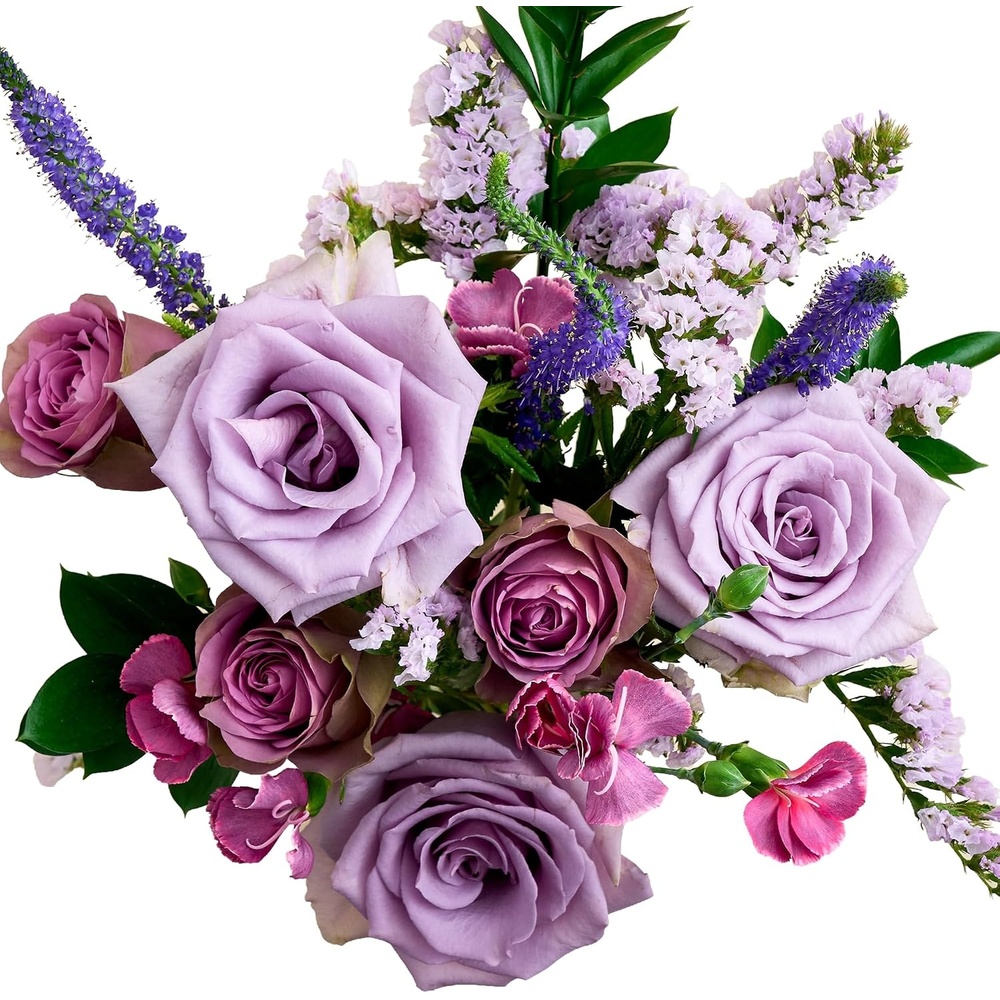 image:imageMartha Stewart x UrbanStems Cool Water Purple Rose Fresh Flowers Bouquet