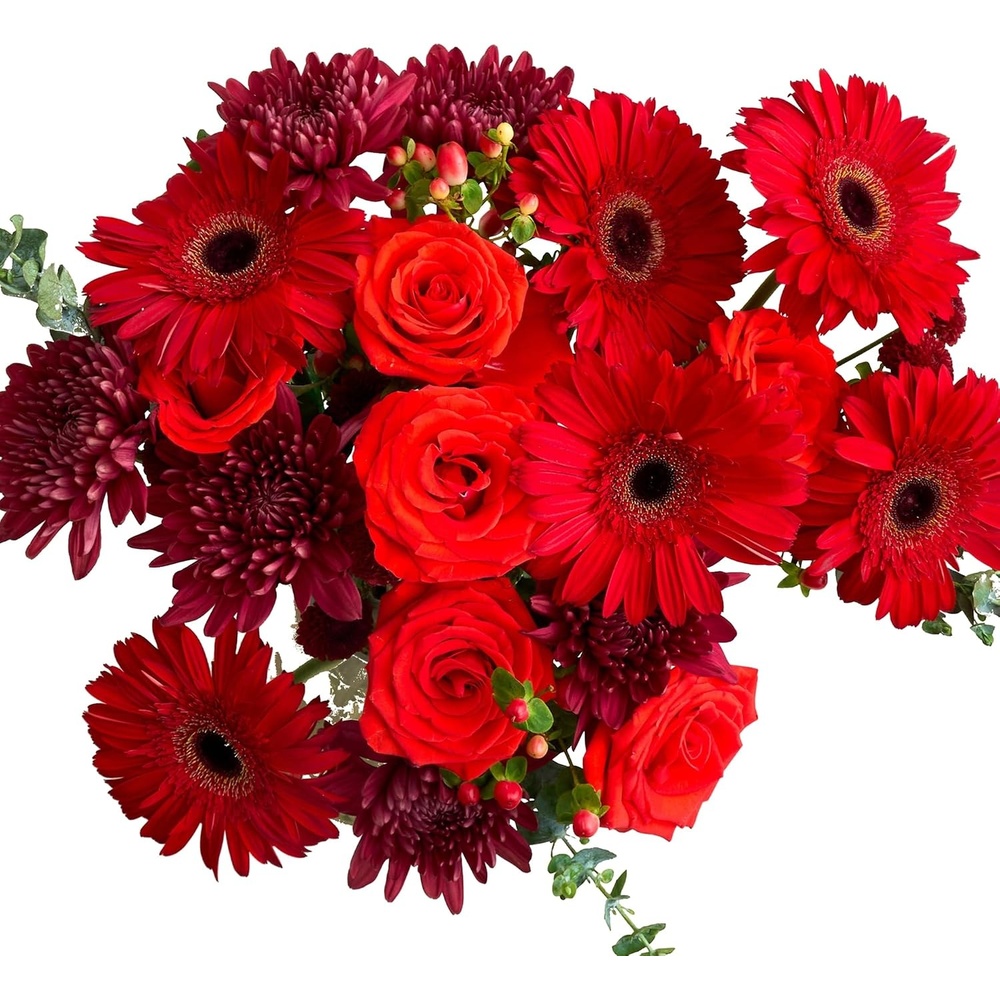image:imageMartha Stewart x UrbanStems Double Crimson Red Rose Fresh Flowers Bouquet