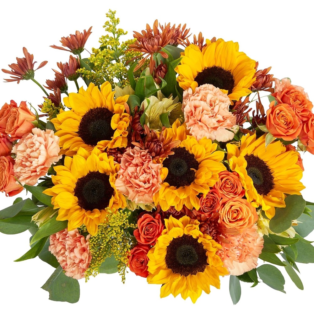 image:imageMartha Stewart x UrbanStems Fall Sunflower Yellow Sunflower Fresh Flower Bouquet