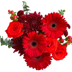 Martha Stewart x UrbanStems Crimson Red Rose Fresh Flowers Bouquet