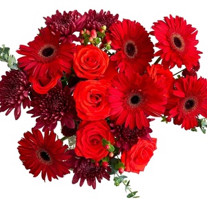 Martha Stewart x UrbanStems Double Crimson Red Rose Fresh Flowers Bouquet